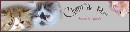 chatil.hafnet.dk
